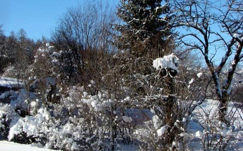 Gîtes de France N°5221 (COUCHANT) Location Gîtes de France N°5221 (COUCHANT) à ST JEAN ST NICOLAS