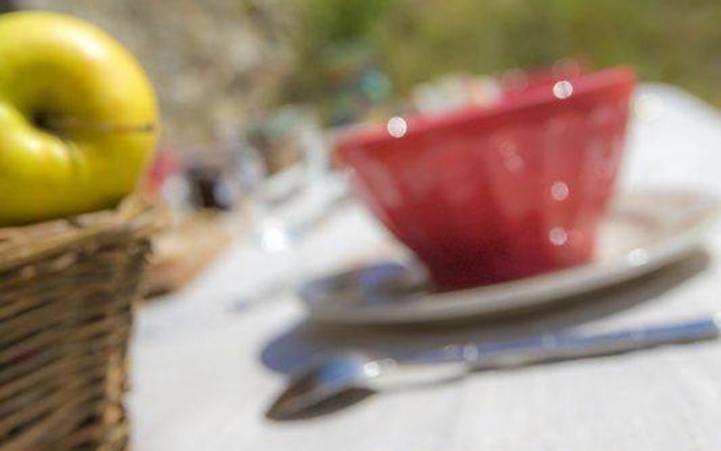 Gîtes de France N°5232 (L'Ecrin des Hautes Alpes - Est) Location Gîtes de France N°5232 (L'Ecrin des Hautes Alpes - Est) à ST JEAN ST NICOLAS