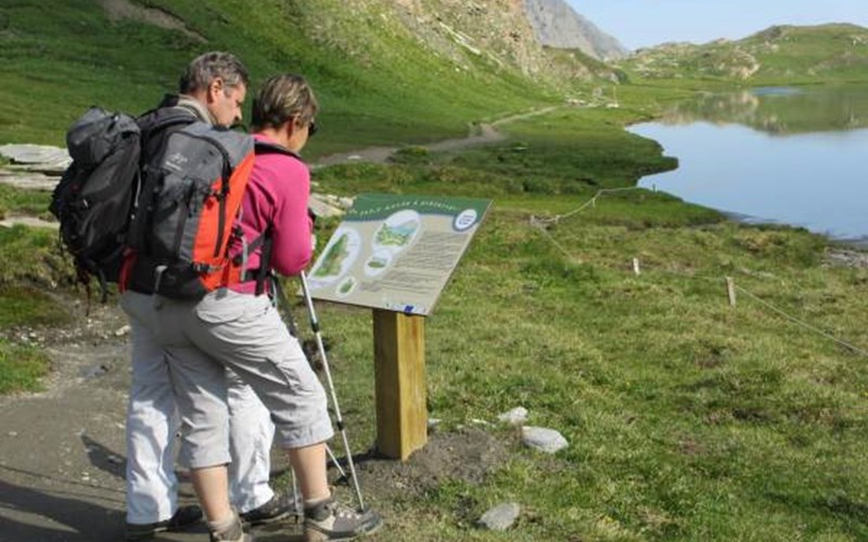 Gîtes de France N°5315 (Gite des Firmins) Location Gîtes de France N°5315 (Gite des Firmins) à ANCELLE