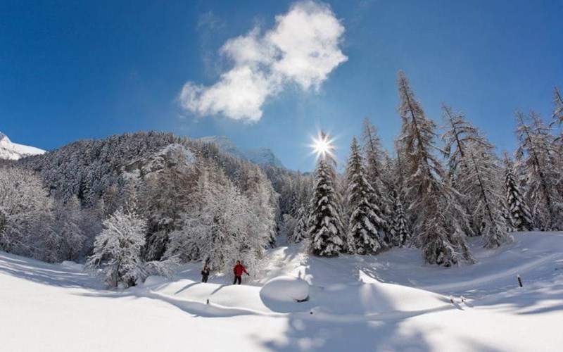 Gîtes de France N°5315 (Gite des Firmins) Location Gîtes de France N°5315 (Gite des Firmins) à ANCELLE