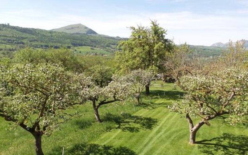 Gîtes de France N°5406 (Pré La Combe 2) Location Gîtes de France N°5406 (Pré La Combe 2) à CHABOTTES