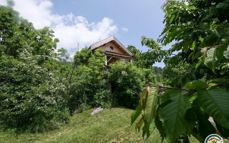 Gîtes de France N°5532 (La Cabane du Sautériau) Location Gîtes de France N°5532 (La Cabane du Sautériau) à ST MICHEL DE CHAILLOL