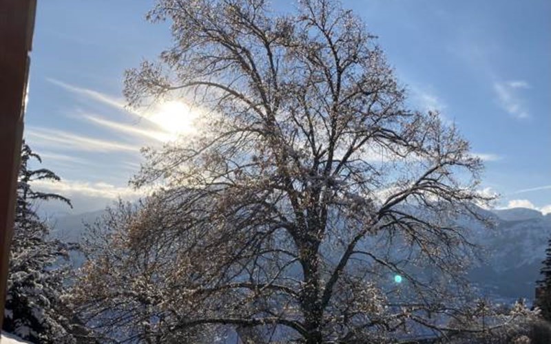Gîtes de France N°5674 (Chez Rose) Location Gîtes de France N°5674 (Chez Rose) à ST JULIEN EN CHAMPSAUR