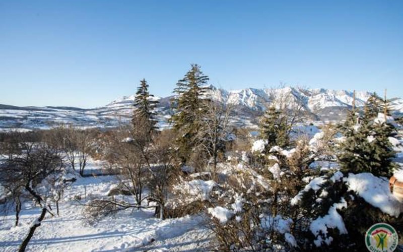 Gîtes de France N°5674 (Chez Rose) Location Gîtes de France N°5674 (Chez Rose) à ST JULIEN EN CHAMPSAUR