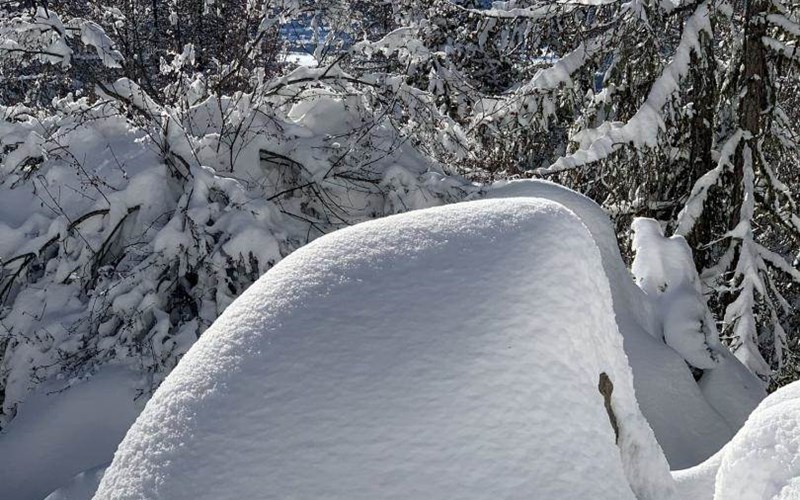 Gîtes de France N°5727 (Gîte Le Doumchou) Location Gîtes de France N°5727 (Gîte Le Doumchou) à ST BONNET EN CHAMPSAUR