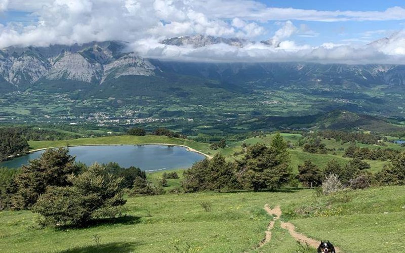 Gîtes de France N°5727 (Gîte Le Doumchou) Location Gîtes de France N°5727 (Gîte Le Doumchou) à ST BONNET EN CHAMPSAUR