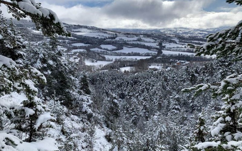 Gîtes de France N°5727 (Gîte Le Doumchou) Location Gîtes de France N°5727 (Gîte Le Doumchou) à ST BONNET EN CHAMPSAUR