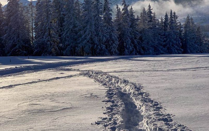 Gîtes de France N°5727 (Gîte Le Doumchou) Location Gîtes de France N°5727 (Gîte Le Doumchou) à ST BONNET EN CHAMPSAUR