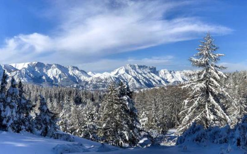 Gîtes de France N°5727 (Gîte Le Doumchou) Location Gîtes de France N°5727 (Gîte Le Doumchou) à ST BONNET EN CHAMPSAUR