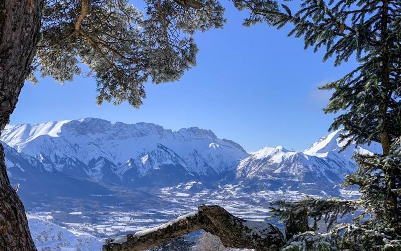 Gîtes de France N°5727 (Gîte Le Doumchou) Location Gîtes de France N°5727 (Gîte Le Doumchou) à ST BONNET EN CHAMPSAUR
