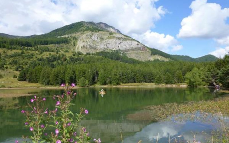 Gîtes de France N°5745 (Les Barbeyroux) Location Gîtes de France N°5745 (Les Barbeyroux) à ST BONNET EN CHAMPSAUR