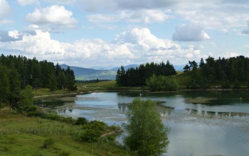 Gîtes de France N°5745 (Les Barbeyroux) Location Gîtes de France N°5745 (Les Barbeyroux) à ST BONNET EN CHAMPSAUR