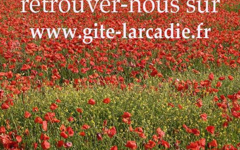 Gîtes de France N°6107 (Gîte l'Arcadie) Location Gîtes de France N°6107 (Gîte l'Arcadie) à BARATIER