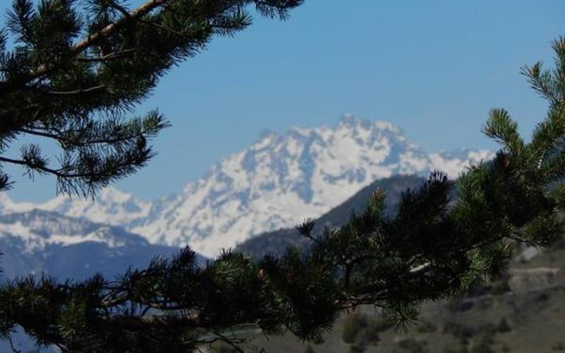 Gîtes de France N°6241 (Gîte Roche Rousse) Location Gîtes de France N°6241 (Gîte Roche Rousse) à CHATEAUROUX LES ALPES