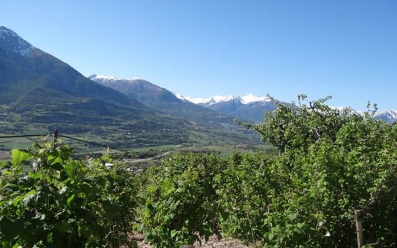 Gîtes de France N°6256 Location Gîtes de France N°6256 à CHATEAUROUX LES ALPES