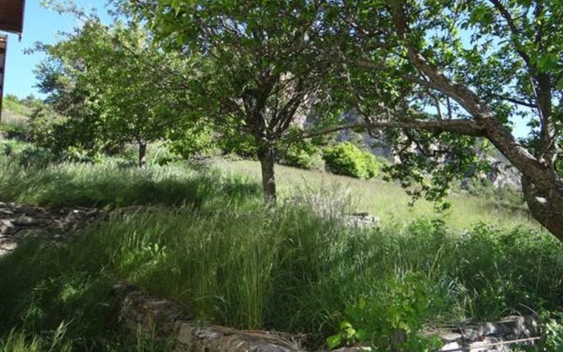 Gîtes de France N°6256 Location Gîtes de France N°6256 à CHATEAUROUX LES ALPES