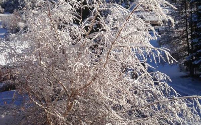 Gîtes de France N°6527 (Le Cabanon) Location Gîtes de France N°6527 (Le Cabanon) à LES ORRES