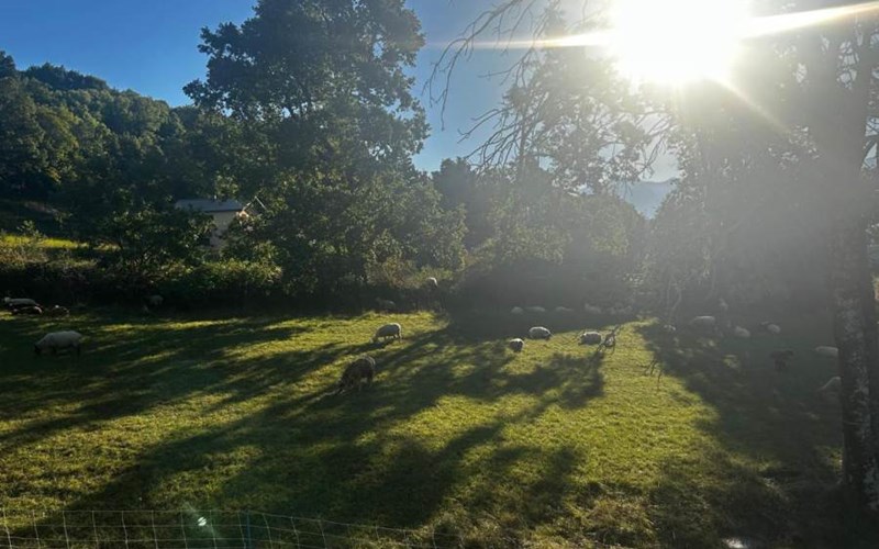 Gîtes de France N°6755 (Le Saint Apo) Location Gîtes de France N°6755 (Le Saint Apo) à ST APOLLINAIRE