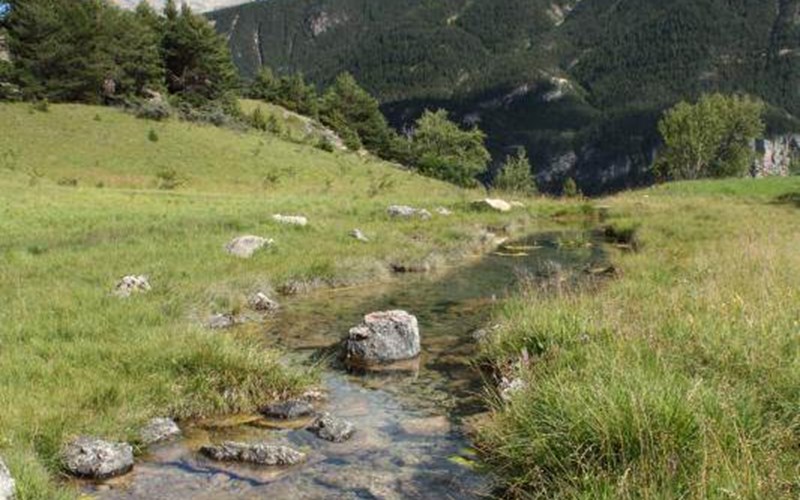 Gîtes de France N°7483 (L'Ecole d'Emma) Location Gîtes de France N°7483 (L'Ecole d'Emma) à EYGLIERS