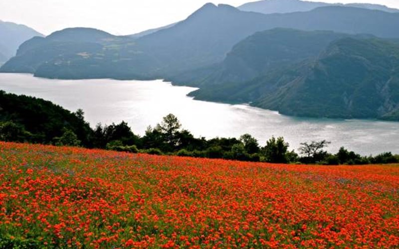 Gîtes de France N°7641 (Gîte du Renard pâle) Location Gîtes de France N°7641 (Gîte du Renard pâle) à GUILLESTRE