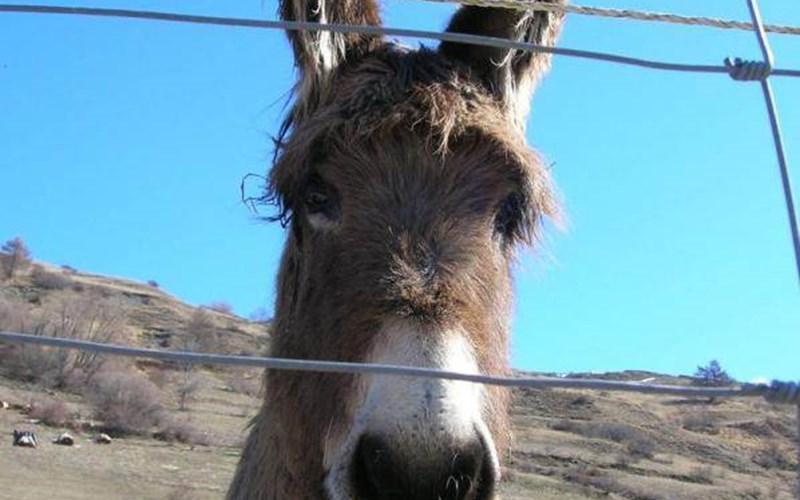 Gîtes de France N°7844 Location Gîtes de France N°7844 à VARS