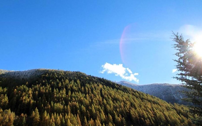 Gîtes de France N°8217 Location Gîtes de France N°8217 à AIGUILLES