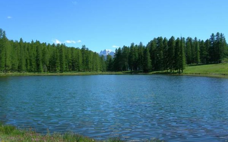 Gîtes de France N°8308 (Campanule) Location Gîtes de France N°8308 (Campanule) à ARVIEUX