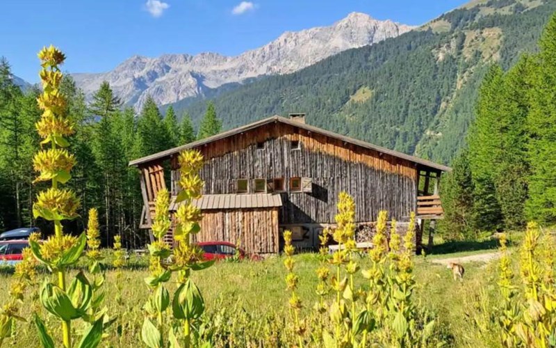 Gîtes de France N°8316 (Chalet ROCHAT) Location Gîtes de France N°8316 (Chalet ROCHAT) à ARVIEUX