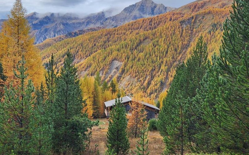 Gîtes de France N°8316 (Chalet ROCHAT) Location Gîtes de France N°8316 (Chalet ROCHAT) à ARVIEUX