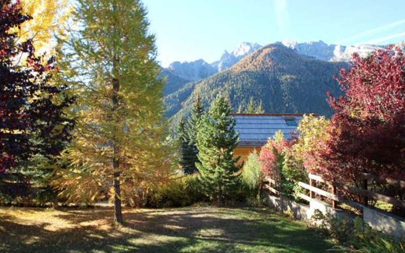 Gîtes de France N°8440 (Le Martagon Appt Framboisiers) Location Gîtes de France N°8440 (Le Martagon Appt Framboisiers) à CEILLAC