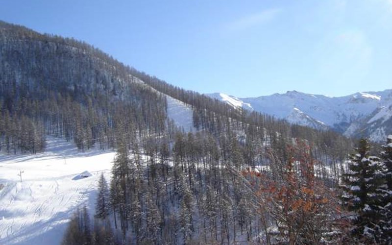 Gîtes de France N°8663 (Le Lys Martagon) Location Gîtes de France N°8663 (Le Lys Martagon) à MOLINES EN QUEYRAS