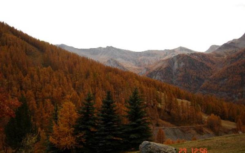 Gîtes de France N°8663 (Le Lys Martagon) Location Gîtes de France N°8663 (Le Lys Martagon) à MOLINES EN QUEYRAS