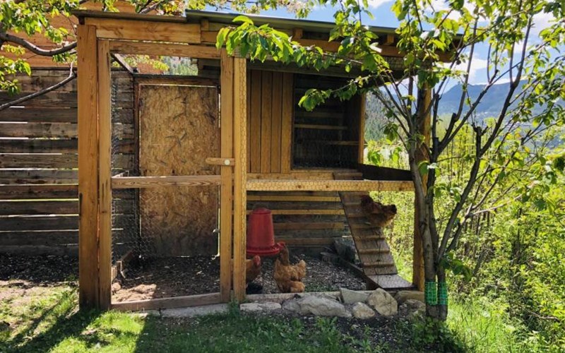 Gîtes de France N°962102 (Chez Sophie et Fred) Location Gîtes de France N°962102 (Chez Sophie et Fred) à PELVOUX