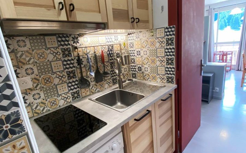 LE BOIS D'AUROUZE Location LE BOIS D'AUROUZE à SUPERDEVOLUY