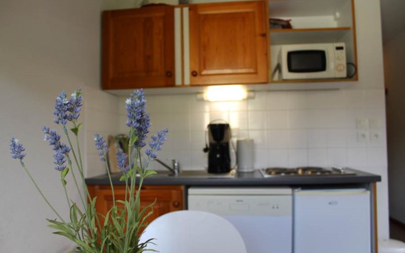 LES CHALETS DE SUPERD GENTIANE Location LES CHALETS DE SUPERD GENTIANE à SUPERDEVOLUY