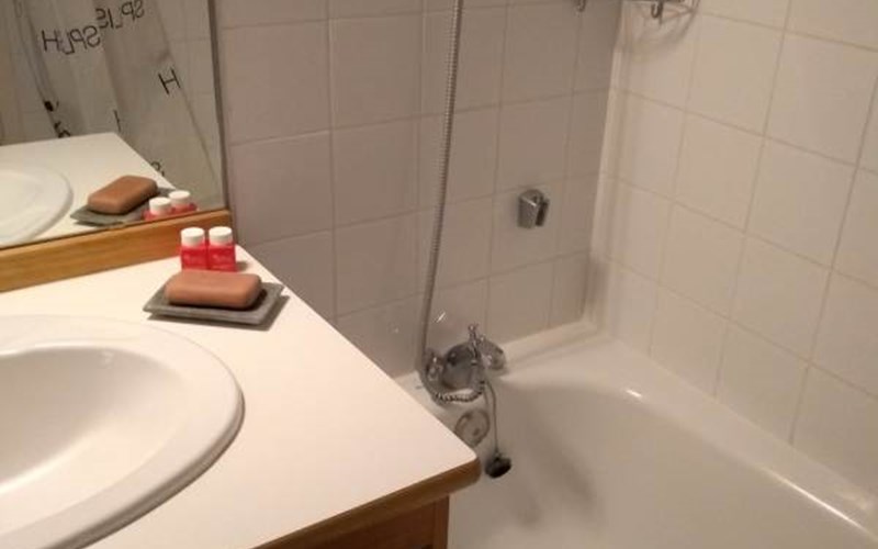 LES MOUFLONS Location LES MOUFLONS à LA JOUE DU LOUP