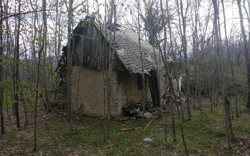 Gite Tetra Lyre Location Gite Tetra Lyre à VALLOUISE