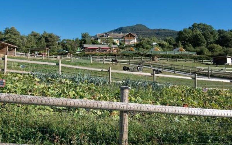 LES CHALETS DE SERRE-PONCON Location LES CHALETS DE SERRE-PONCON à BARATIER