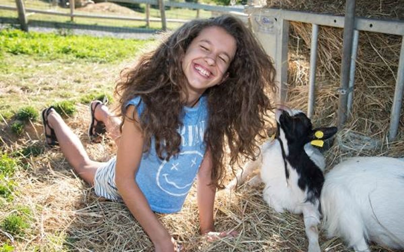 LES CHALETS DE SERRE-PONCON Location LES CHALETS DE SERRE-PONCON à BARATIER