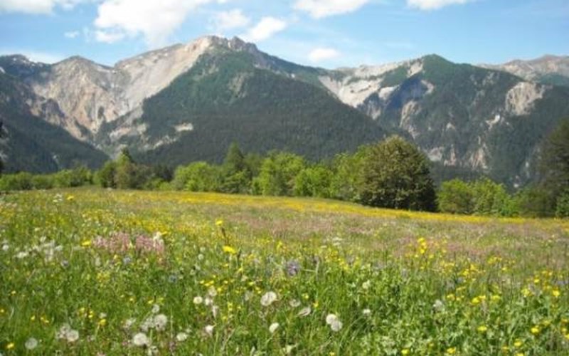 Location GITE DE LA DRAYE à CROTS