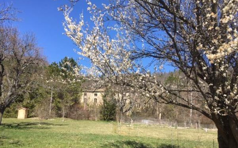 Location Le Moulin de la Viorne à LES OMERGUES