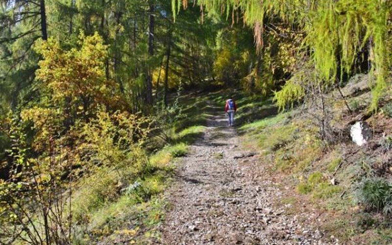L'Eyssina Location L'Eyssina à CREVOUX