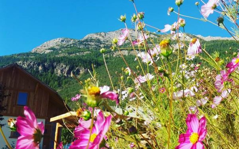 Brin de Paille Location Brin de Paille à ST MARTIN DE QUEYRIERE