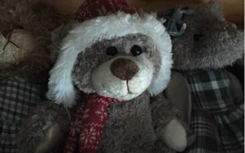 CHALETS JOUBELLE Location CHALETS JOUBELLE à REALLON