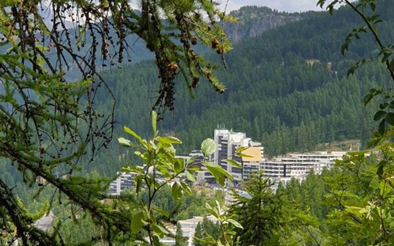 RESIDENCE CORTINA3 016 Location RESIDENCE CORTINA3 016 à PUY ST VINCENT