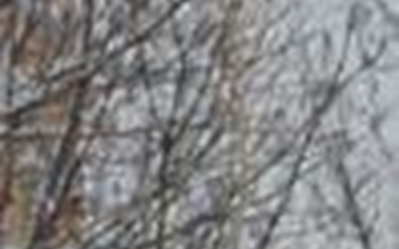 Appartement LE VILLAGE Chalet ALBERT Location Appartement LE VILLAGE Chalet ALBERT à PUY ST VINCENT