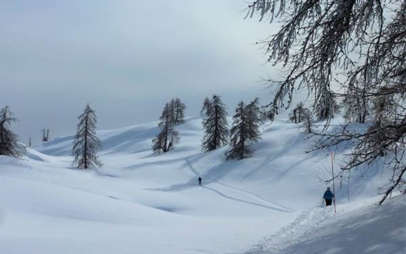 Appartement LE VILLAGE Chalet ALBERT Location Appartement LE VILLAGE Chalet ALBERT à PUY ST VINCENT