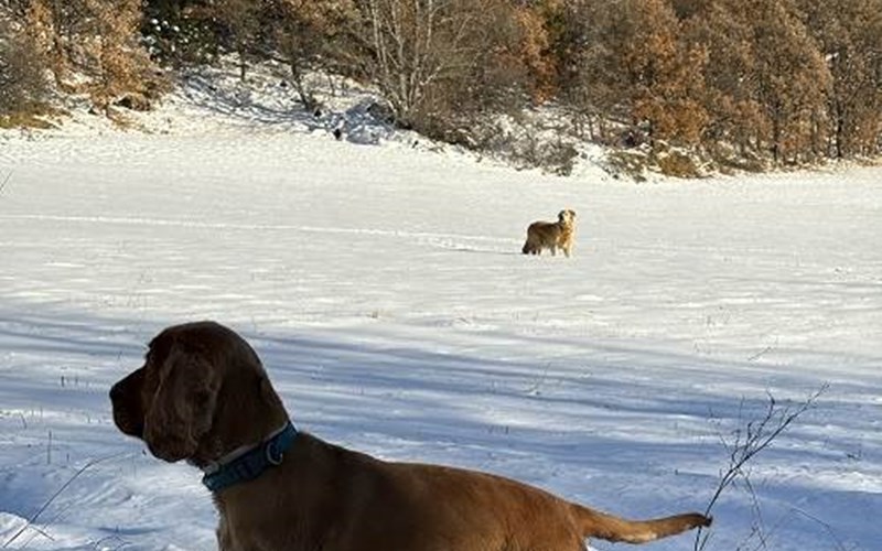 Chalet La Bonne Etoile Location Chalet La Bonne Etoile à CHORGES