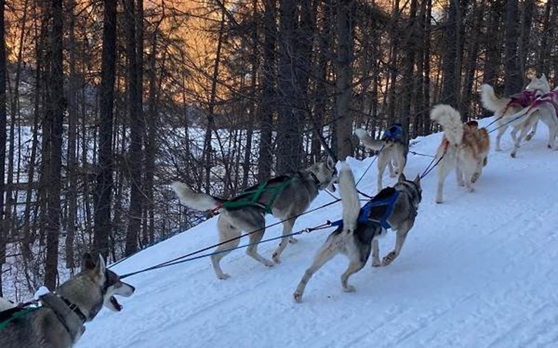 Chalet La Bonne Etoile Location Chalet La Bonne Etoile à CHORGES