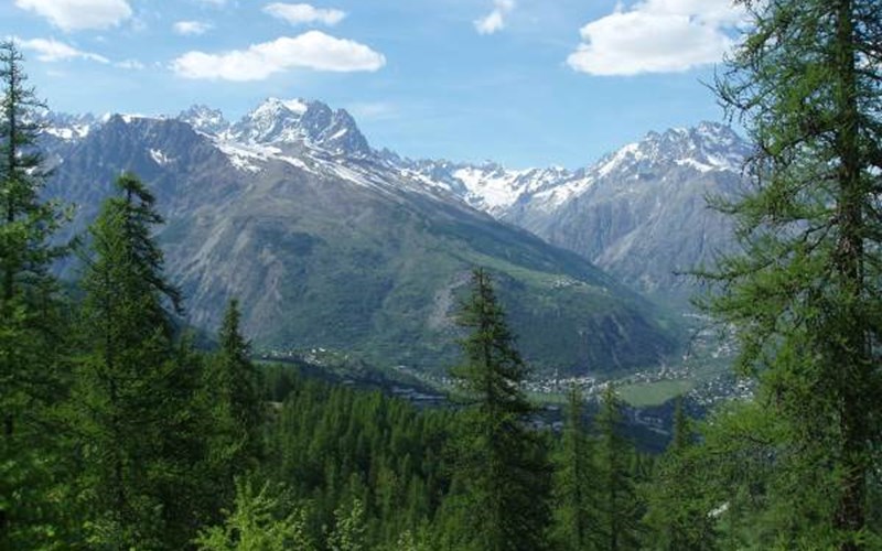 Chalet l'Ecrin Vert Location Chalet l'Ecrin Vert à LES VIGNEAUX